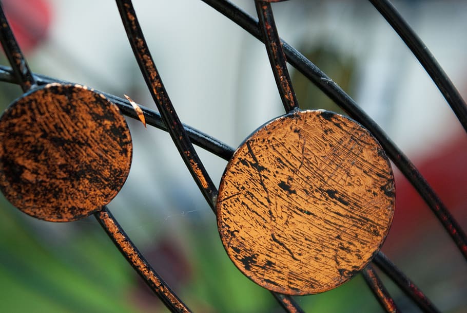 garden, autumn, disc, close-up, focus on foreground, brown HD wallpaper