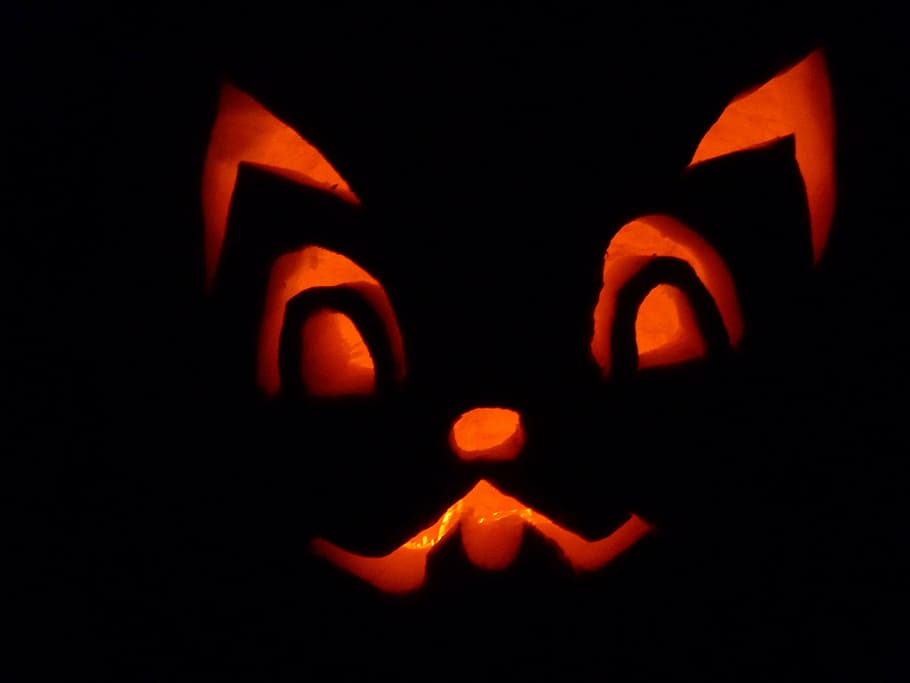 pumpkin, autumn, fall, october, pumpkins, halloween, lantern HD wallpaper