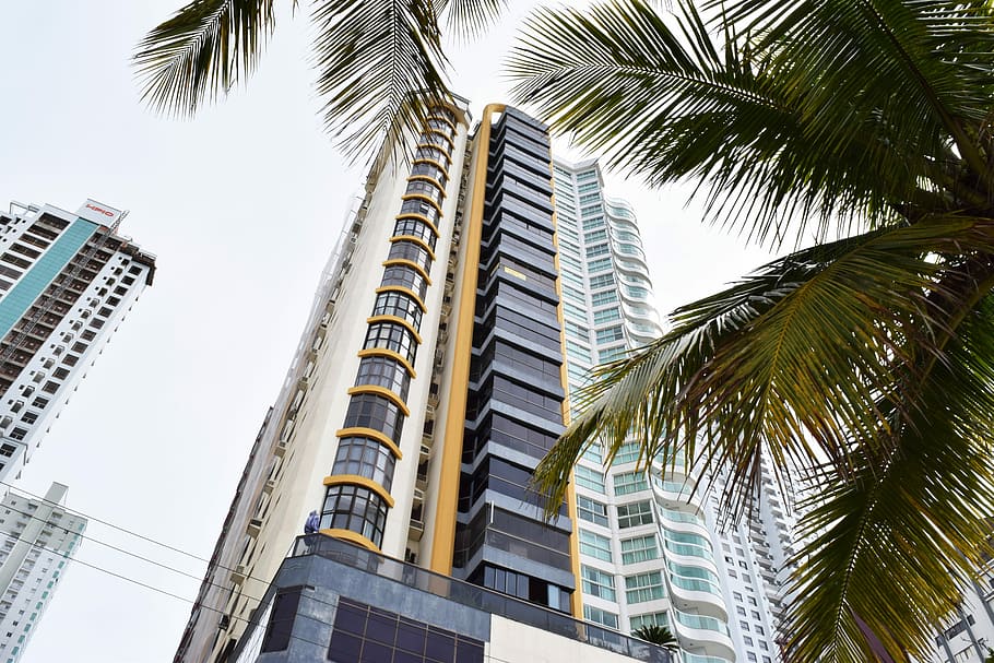 Building, Palm Tree, Sky, low angle view, built structure, skyscraper HD wallpaper