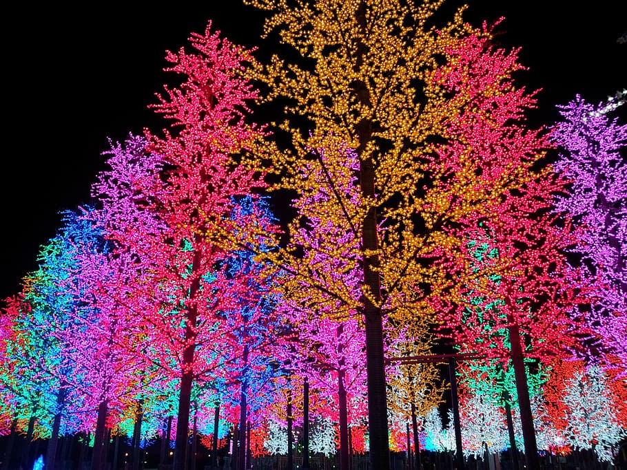 artificial, tree, light, night, colorful, plant, illuminated HD wallpaper