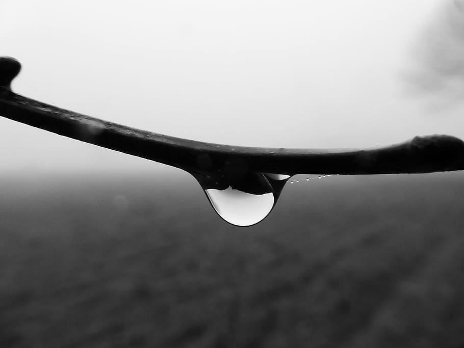 Foggy, Raindrop, Autumn, close-up, nature, no people, outdoors HD wallpaper