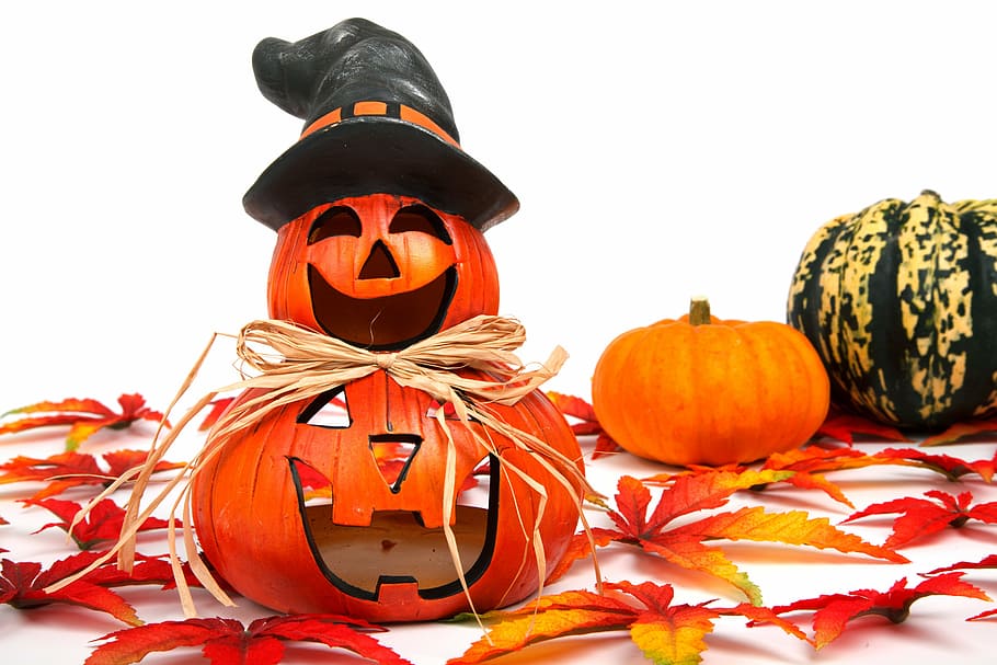 autumn, decoration, face, fall, funny, gourd, halloween, head HD wallpaper