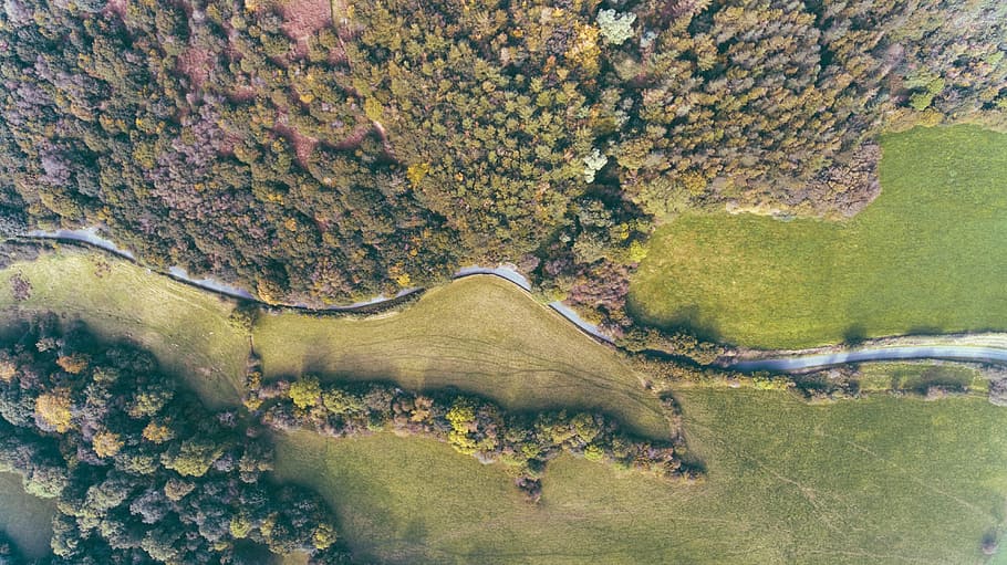 top view of forest mountain, aerial, photography, plants, trees HD wallpaper