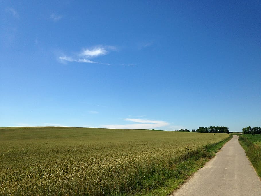 landscape, paradise, dream, sky, environment, field, tranquil scene HD wallpaper
