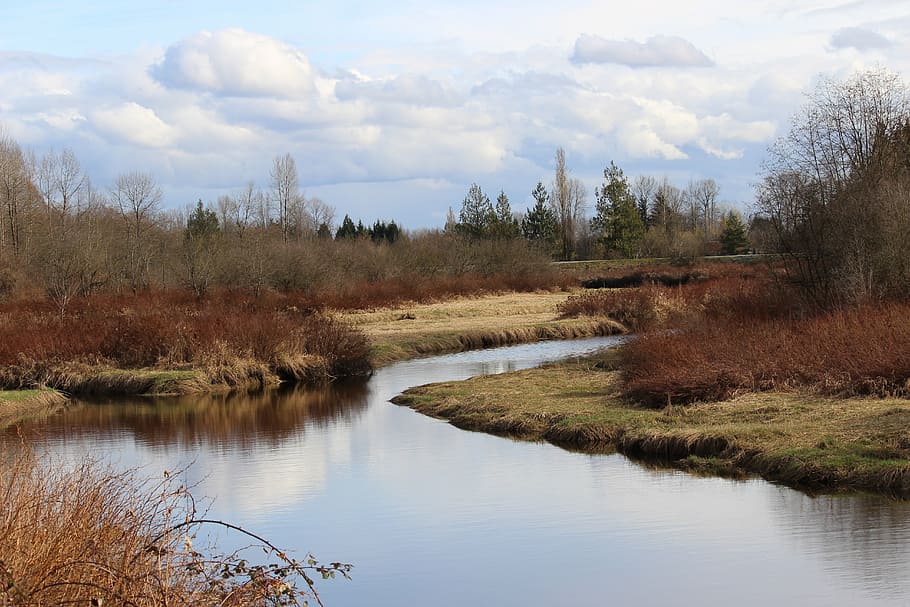 river, sky, grass, water, tranquility, plant, tranquil scene HD wallpaper