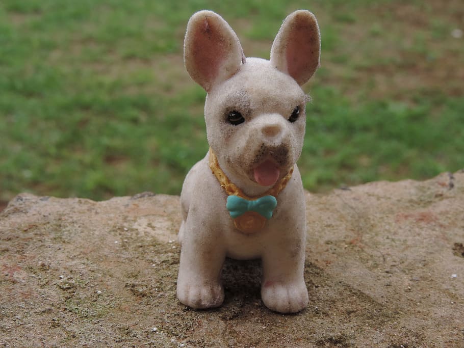 dog, toy, sitting, mammal, animal, one animal, pets, animal themes HD wallpaper