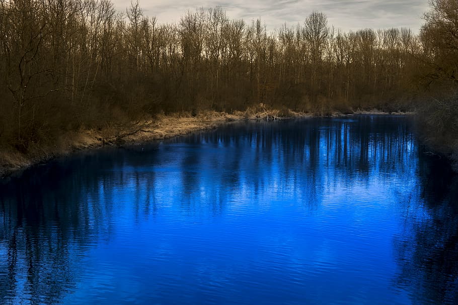 brown trees near body of water, river, mirroring, landscape HD wallpaper