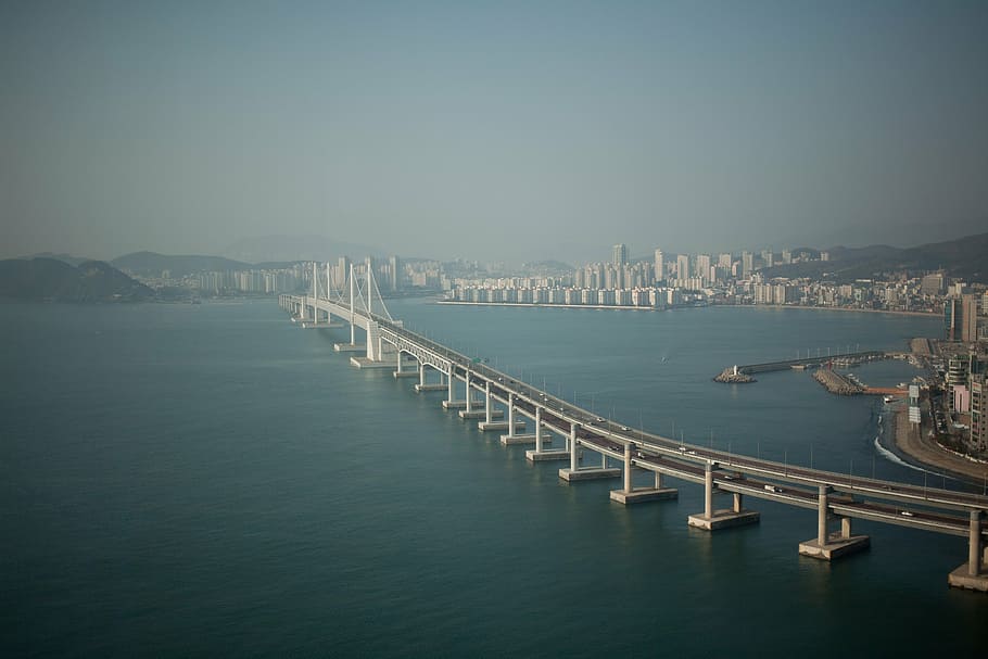 concrete bridge beside cityscape, landscape, busan, gwangan bridge, HD wallpaper