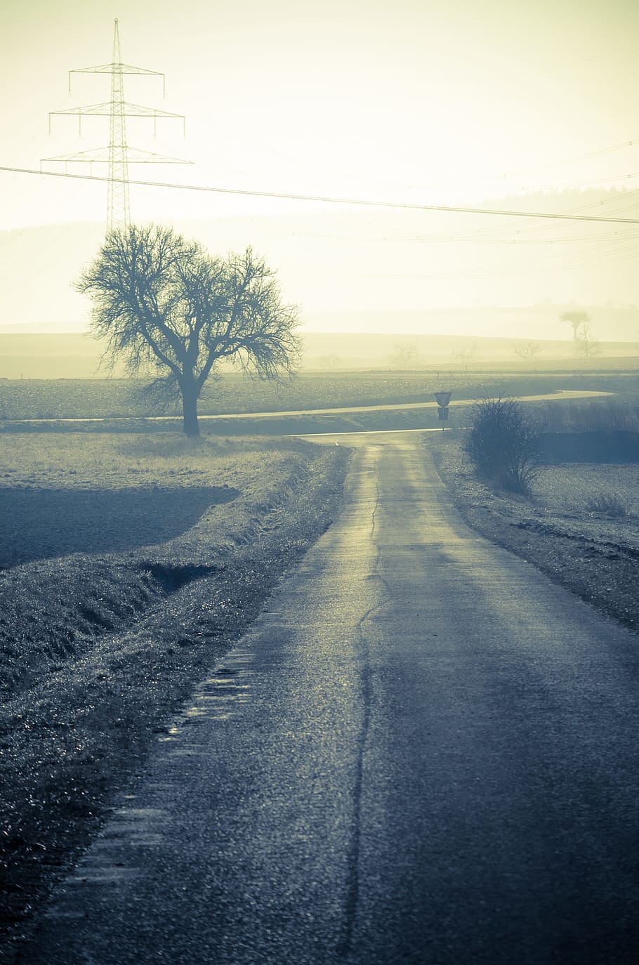 forest path, away, nature, rural, area, tree, strommast, power line HD wallpaper