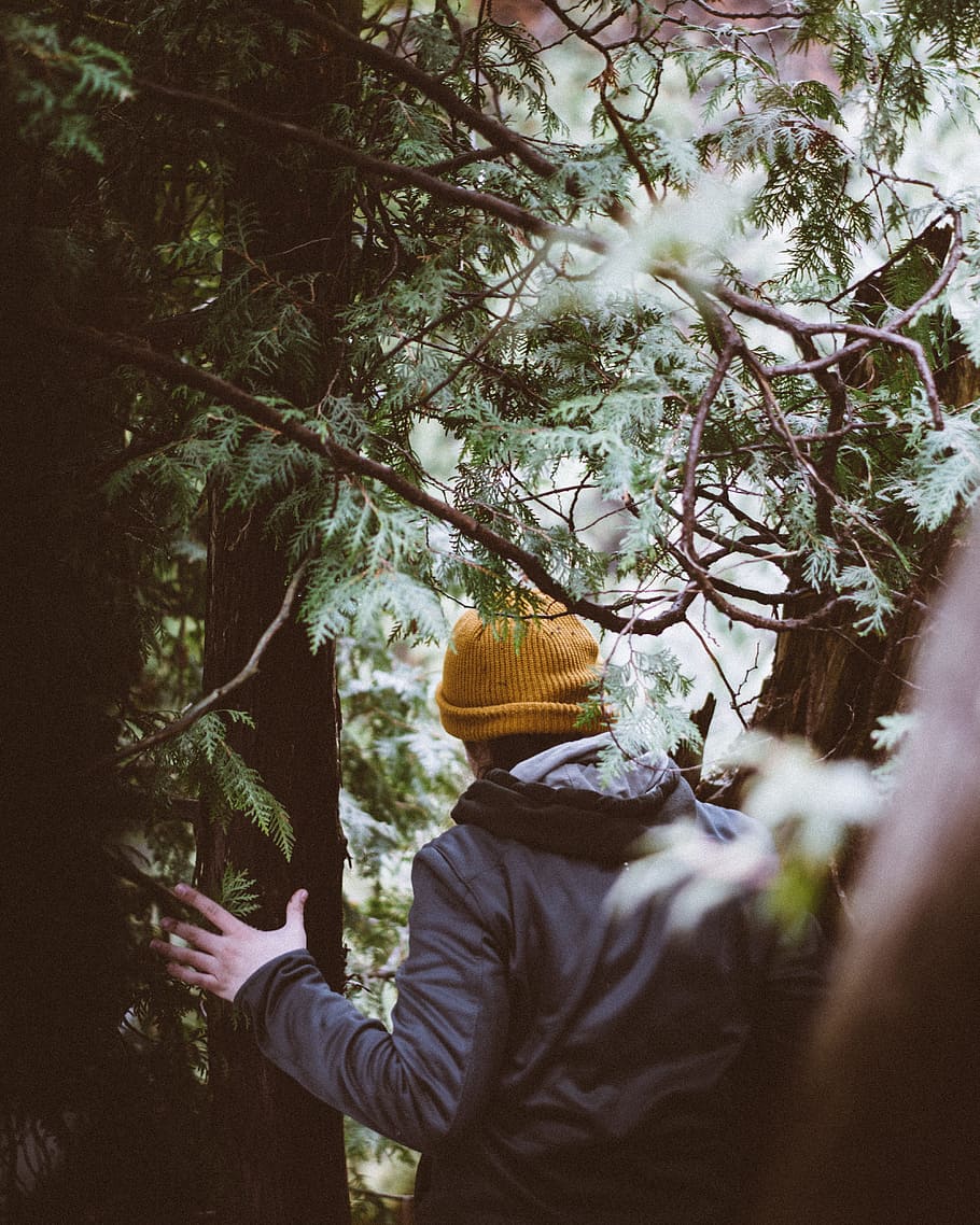 person holding at tree branch, man wearing black hooded jacket and yellow knit cap walking under green leaf trees during daytime