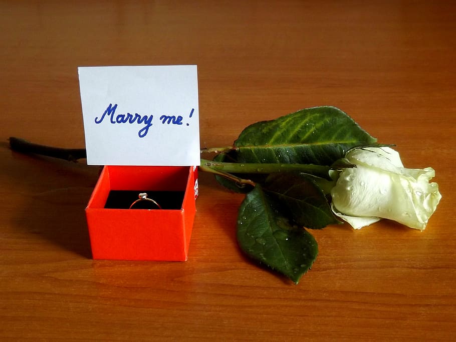marry me, engagement ring, rose, message, white, text, table HD wallpaper