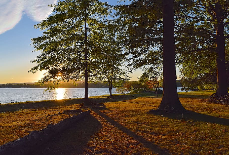 sunset, tree, lake, autumn, light, sunlight, shadow, natural HD wallpaper
