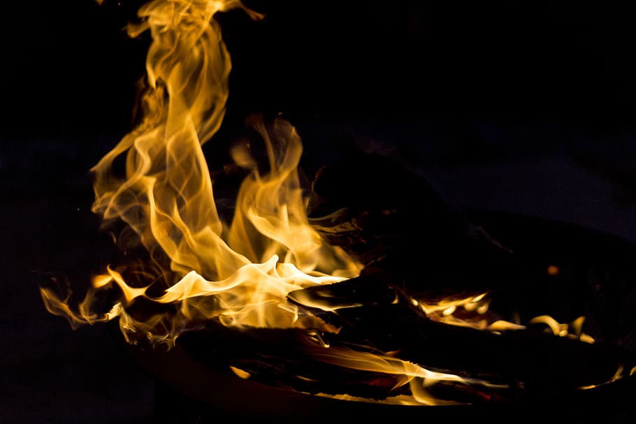 close-up photography of flame, timelapse photo of burning firewood HD wallpaper