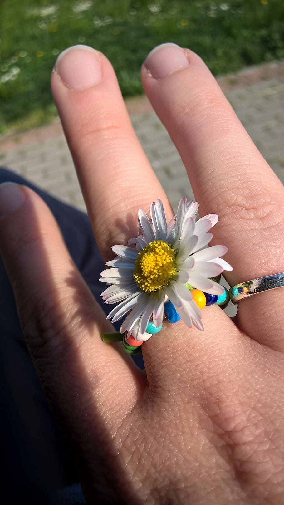 margaret, ring, spring, human body part, human hand, flower HD wallpaper