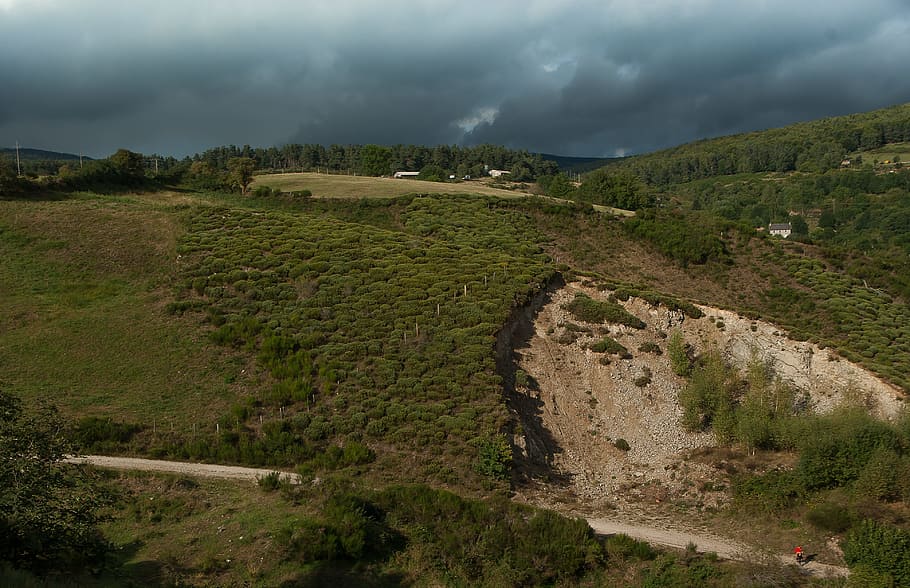 lozère, pastures, forest, clouds, environment, landscape, plant HD wallpaper