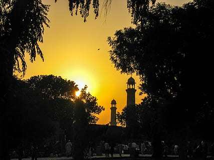 people near trees during daytime, sunset, mosque, islam, architecture silhouette HD wallpaper