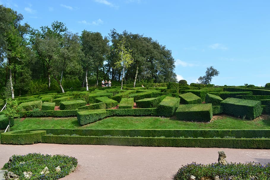 boxwood, bush cut, bushes carved, maze, garden, french garden, HD wallpaper