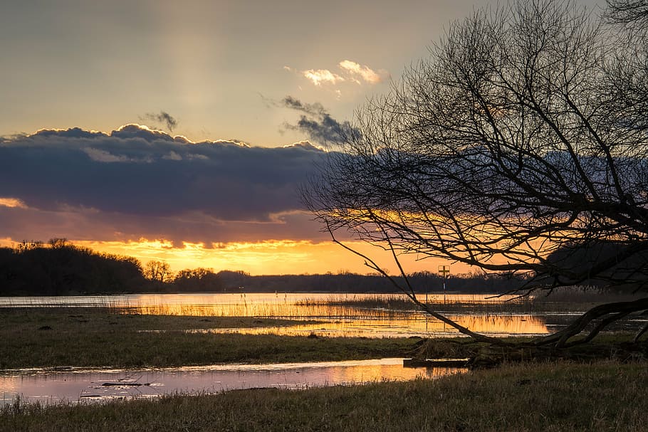 elbe, high water, evening, river, current, nature, mood, sunset HD wallpaper