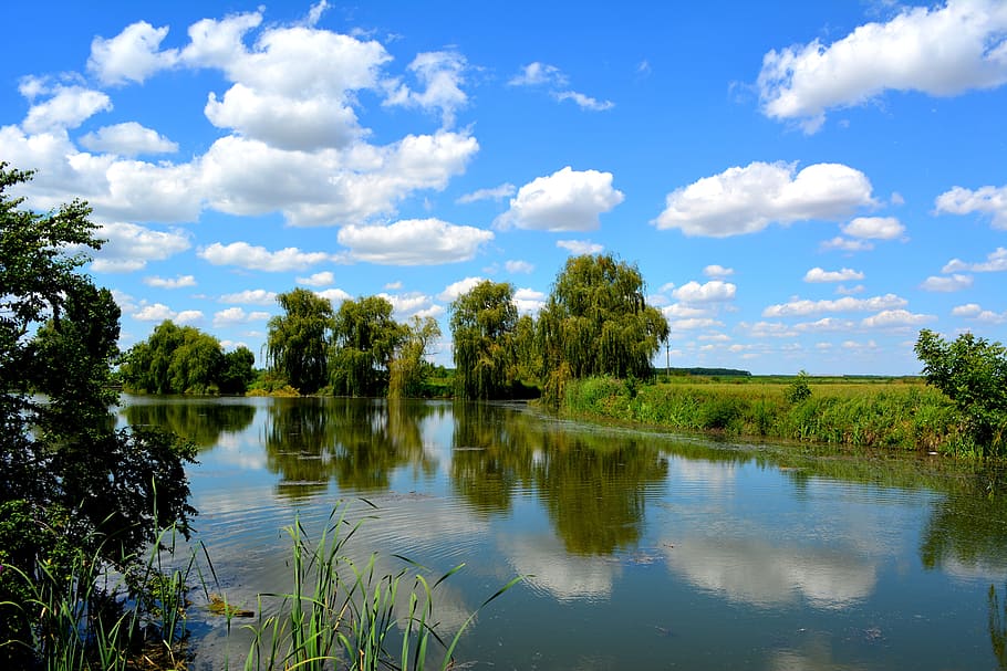 sky, water, cloud, lake, reflection, nature, vegetation, blue HD wallpaper