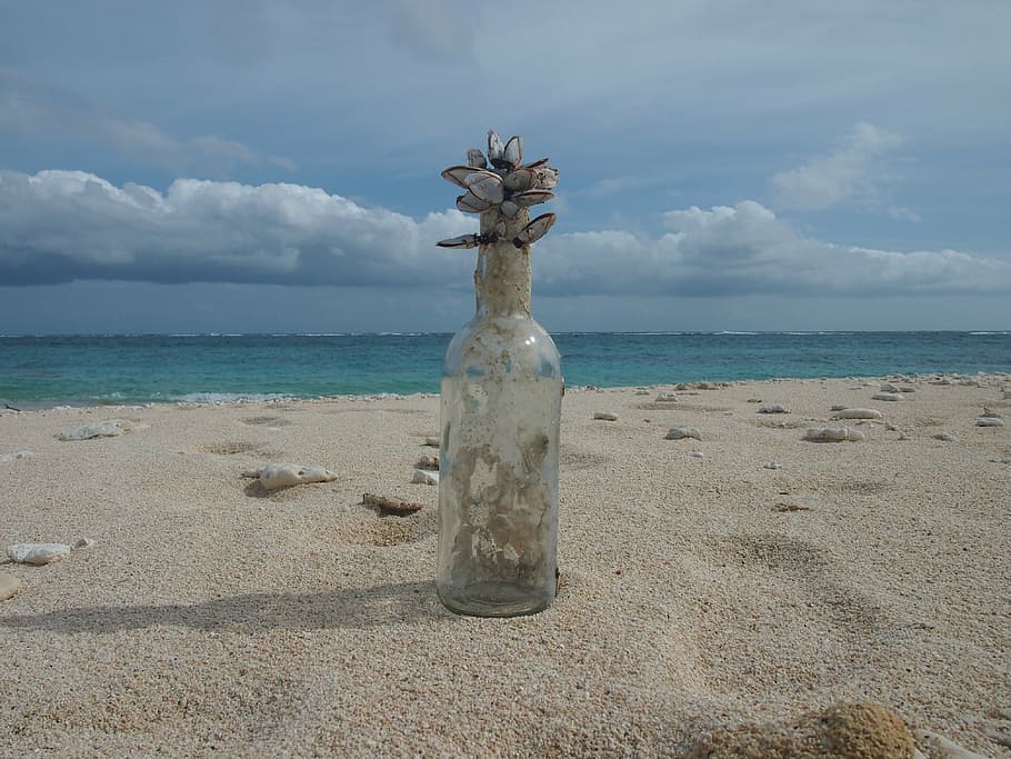 yoron, shell, funny, bottle, beach, sea, sky, water, horizon HD wallpaper