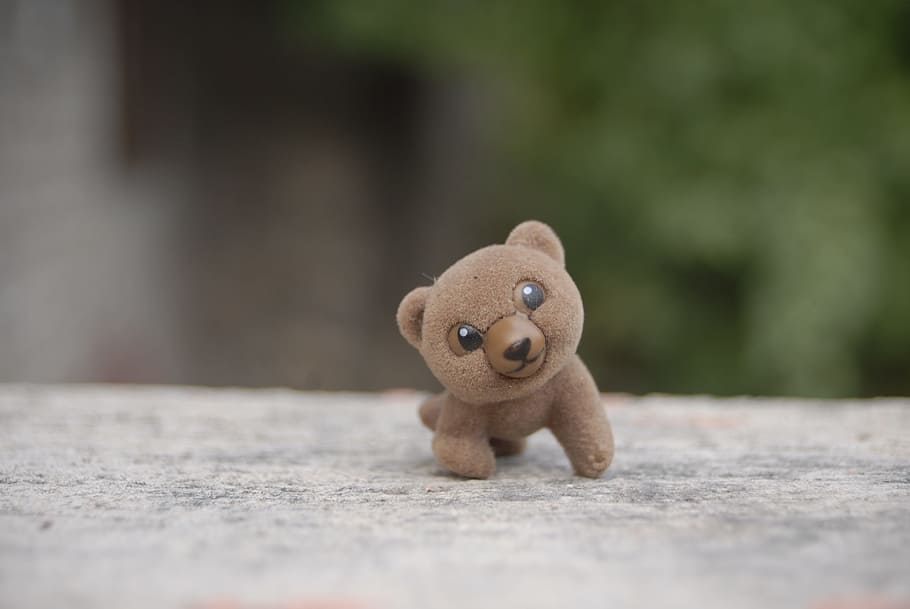 bear, toy, tenderness, representation, stuffed toy, teddy bear HD wallpaper