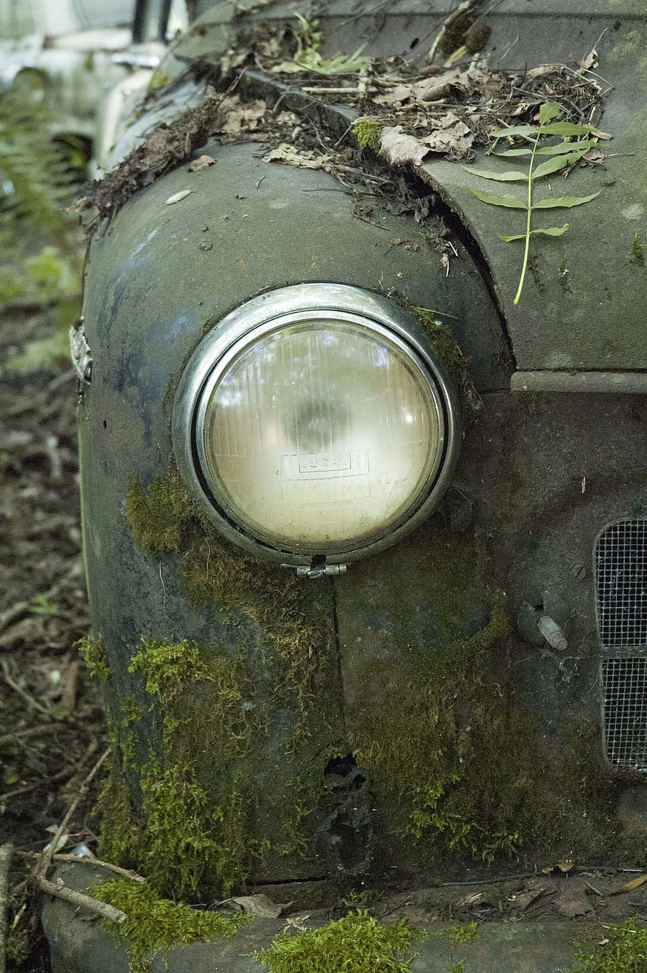 Auto, Car, Cemetery, Oldtimer, Stainless, car cemetery, stainless karre HD wallpaper