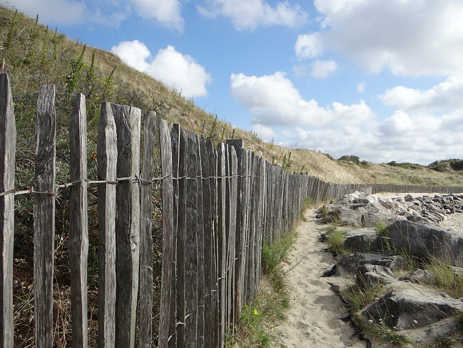 dune, path, beach, cloud, nature, north, france, sand, berck beach HD wallpaper