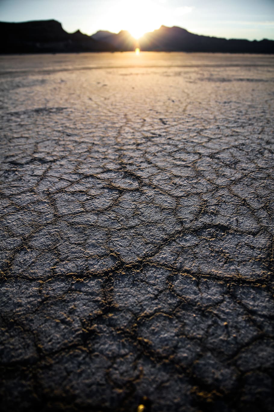 selective focus photography of dry soil, low angle photography of dried ground HD wallpaper