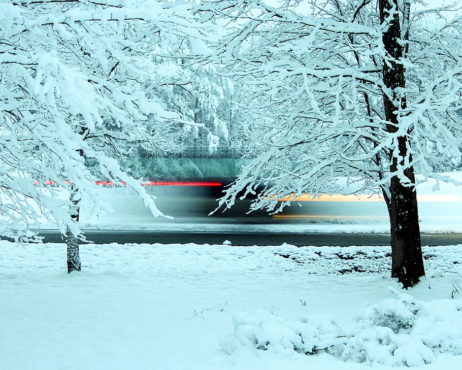 timelapse photography of vehicle passing through tree, light beams HD wallpaper