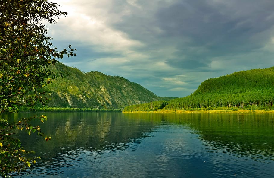 lake and mountain, river, shore, trees, branches, leaves, grass HD wallpaper