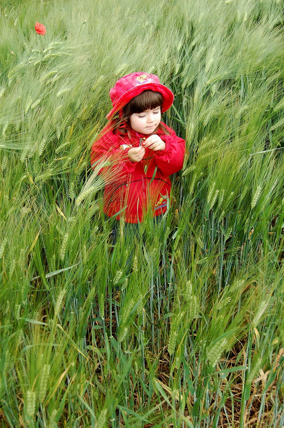 child, red, meadow, grass, nature, one person, field, outdoors HD wallpaper