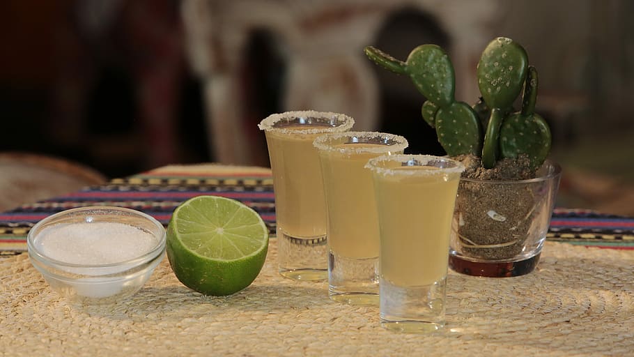 three shot glasses near cactus plant, Cocktail, Mexico, Drinks