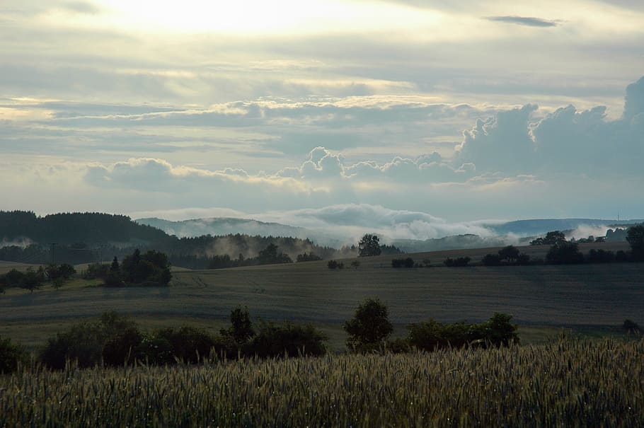 fog, hinterhermsdorf, landscape, nature, agriculture, rural Scene HD wallpaper