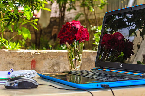 Hp Laptop Turned on With Corded Mouse in Front at Daytime, blur HD wallpaper