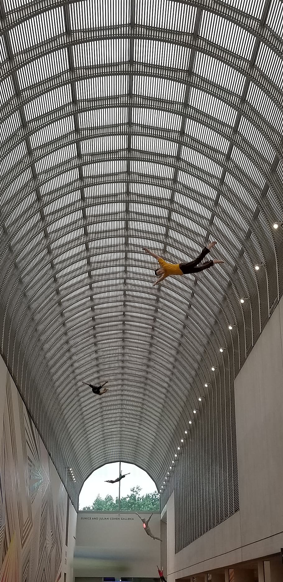 ceiling, museum, art, indoors, architecture, built structure HD wallpaper