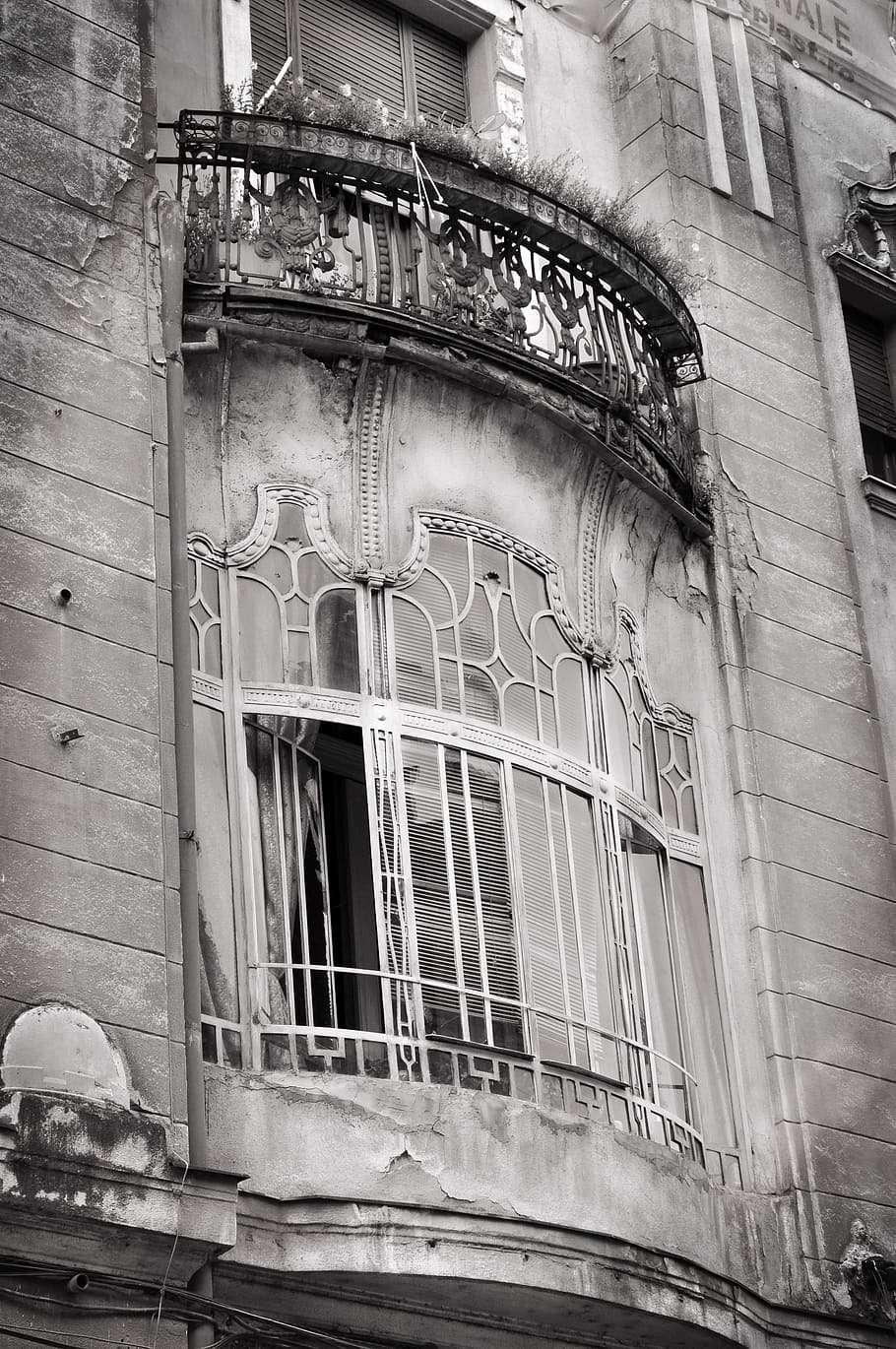 Oradea, Window, Romania, Pane, black and white, architecture HD wallpaper