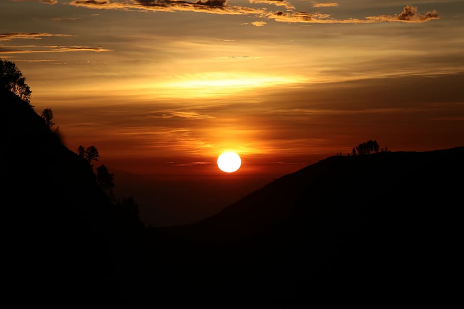 silhouette of trees during golden hour, sunset, orange, ball HD wallpaper
