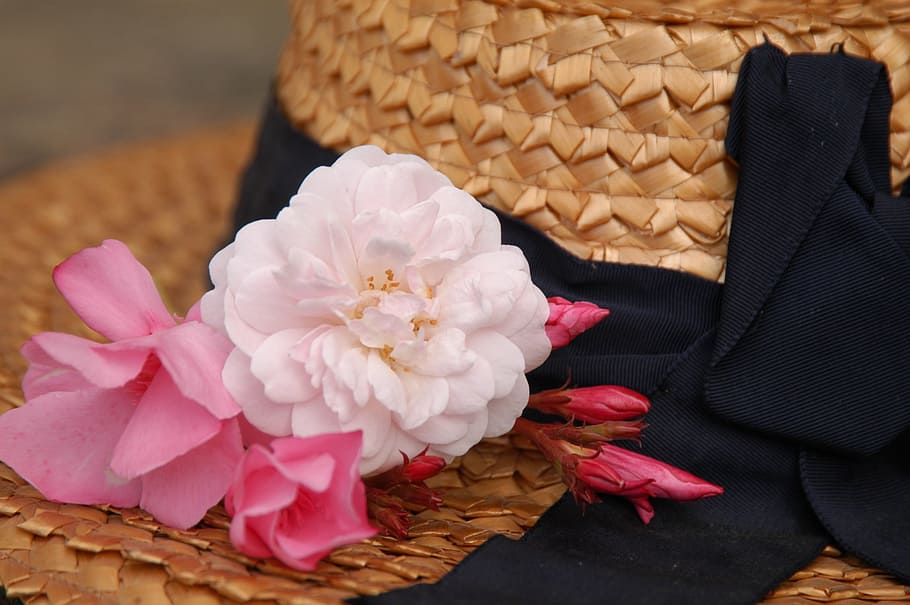decoration, hat, flower, flowering plant, beauty in nature HD wallpaper