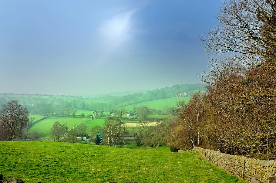 fields, landscape, season, spring, grass, forest, hills, hike HD wallpaper