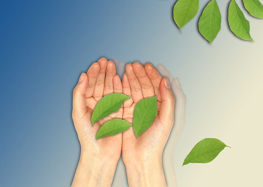 background, design, hands, green leaves, blue, wishes, human body part HD wallpaper