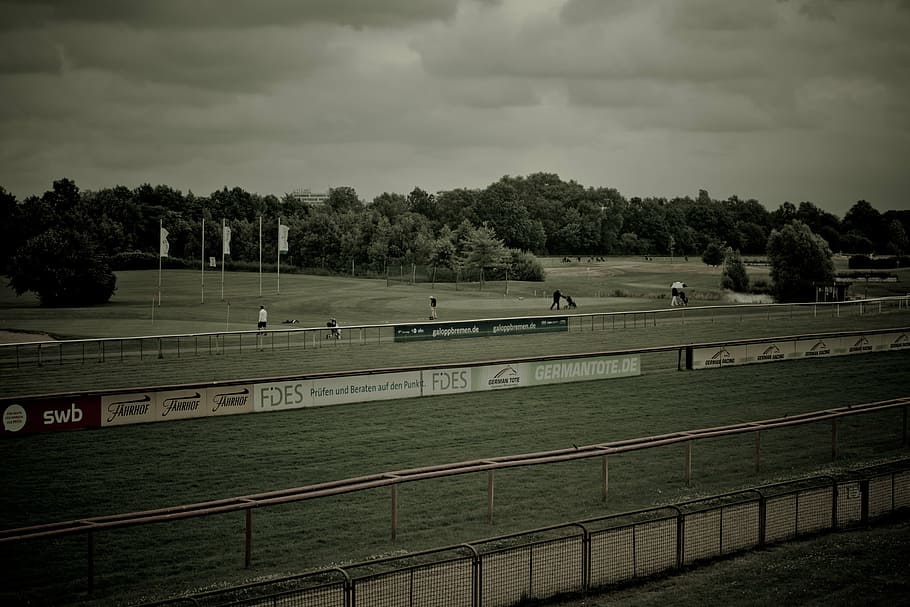 people playing golf on course, racecourse, golf course, bremen HD wallpaper