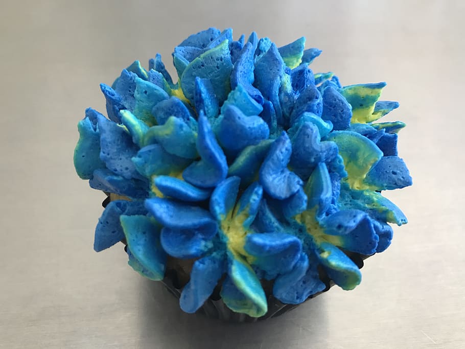 cake, cupcake, flower, blue, close-up, indoors, no people, table HD wallpaper