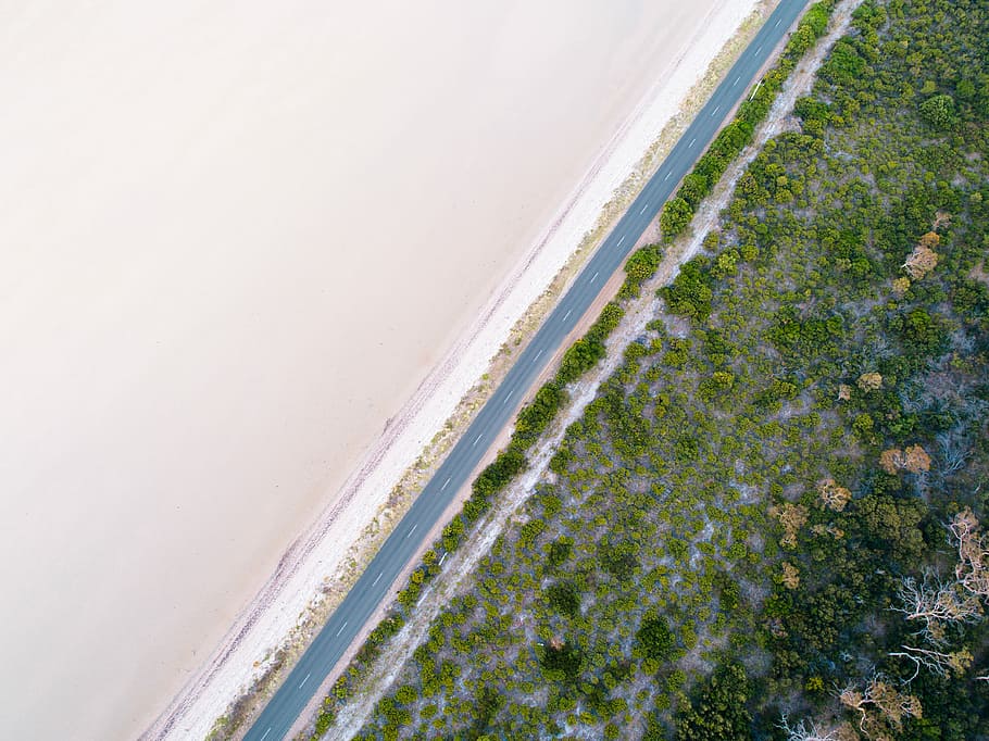 aerial view of concrete road, aerial photography of green plants HD wallpaper