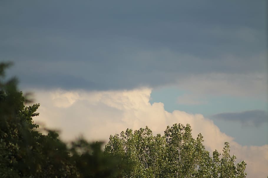 before the storm, cloud, landscape, tree, plant, cloud - sky HD wallpaper