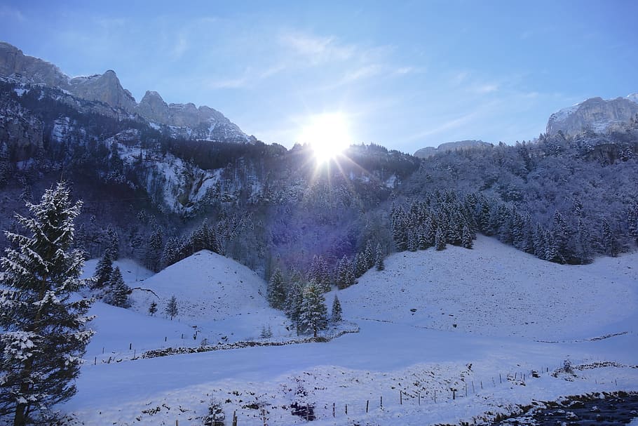 view, wanderlust, foresight, snow, cold temperature, winter HD wallpaper