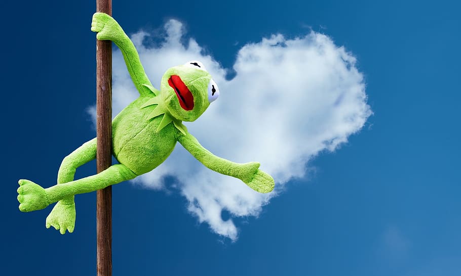 Kermit the frog holding brown sticl, pole dance, funny, soft toy HD wallpaper