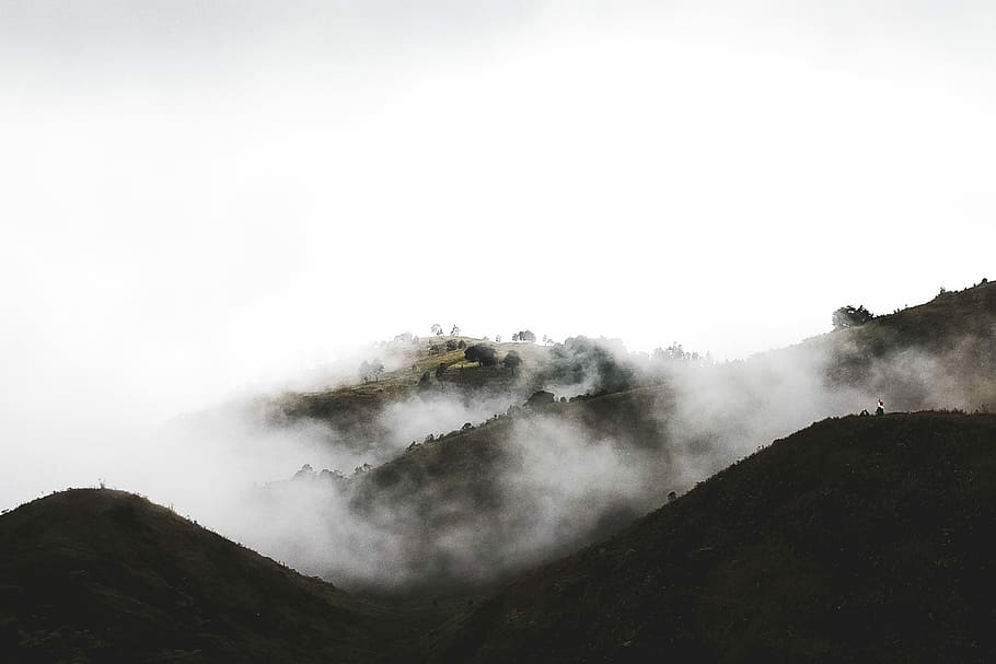 foggy mountain, sea of cloud on mountain, morning, prau, java HD wallpaper