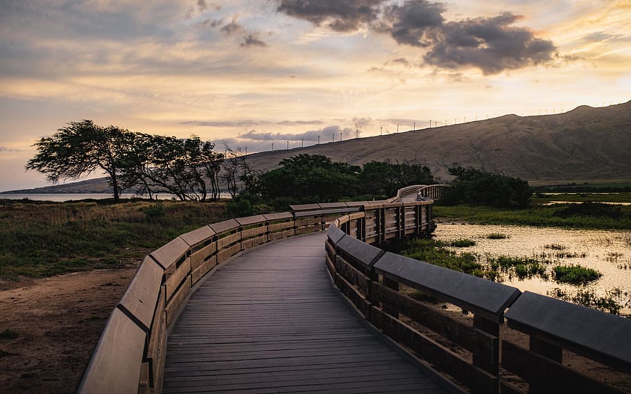 architecture, infrastructure, trees, clouds, sky, water, river HD wallpaper