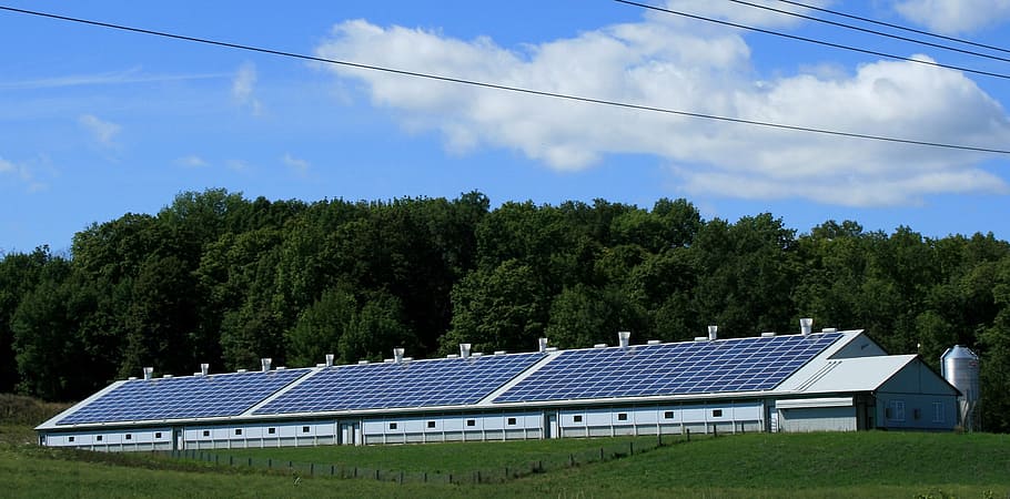white building filled with solar panels surrounded by trees, solar power