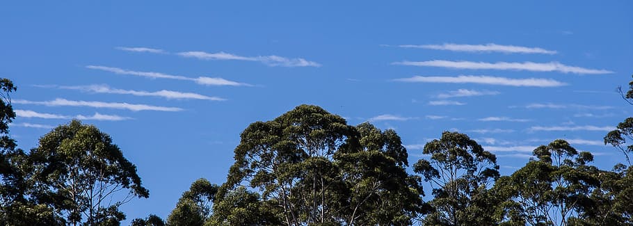 clouds, white, blue, linear, lines, weather, sky, australia HD wallpaper